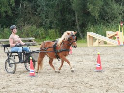 img_5806_web